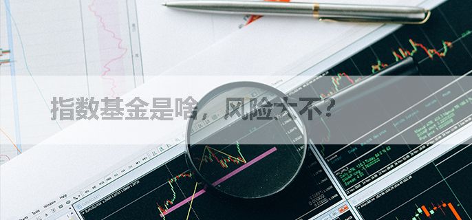 指数基金是啥，风险大不？