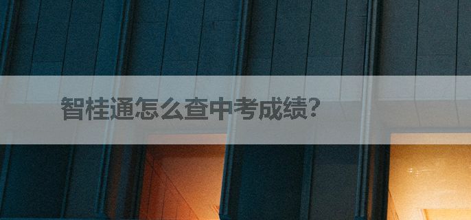 智桂通怎么查中考成绩？