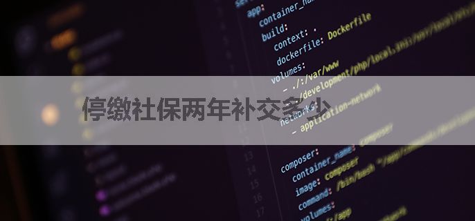 停缴社保两年补交多少