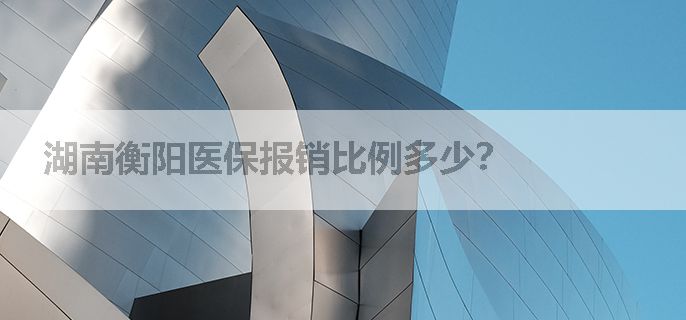 湖南衡阳医保报销比例多少？