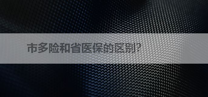 市多险和省医保的区别？