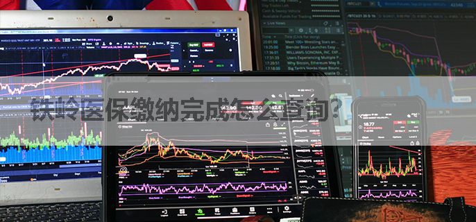 铁岭医保缴纳完成怎么查询？