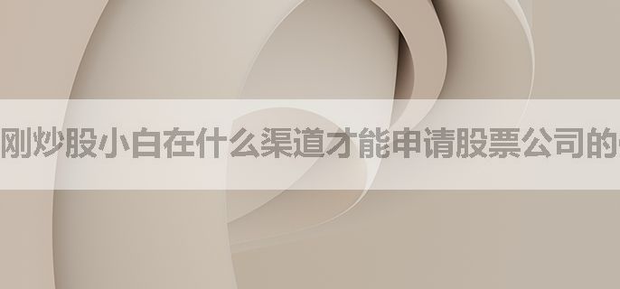 刚炒股小白在什么渠道才能申请股票公司的低手续费账户呢
