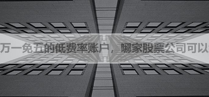 万一免五的低费率账户，哪家股票公司可以给刚炒股小白开的
