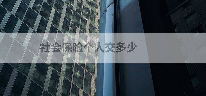社会保险个人交多少