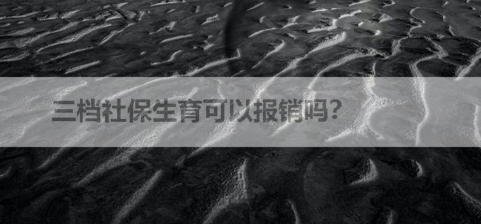三档社保生育可以报销吗？