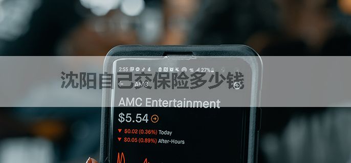 沈阳自己交保险多少钱
