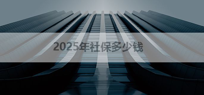 2025年社保多少钱