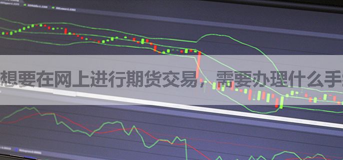 想要在网上进行期货交易，需要办理什么手续，