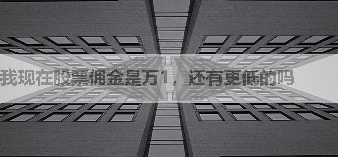 我现在股票佣金是万1，还有更低的吗