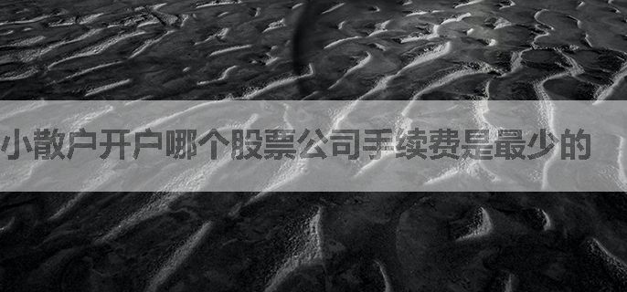 小散户开户哪个股票公司手续费是最少的