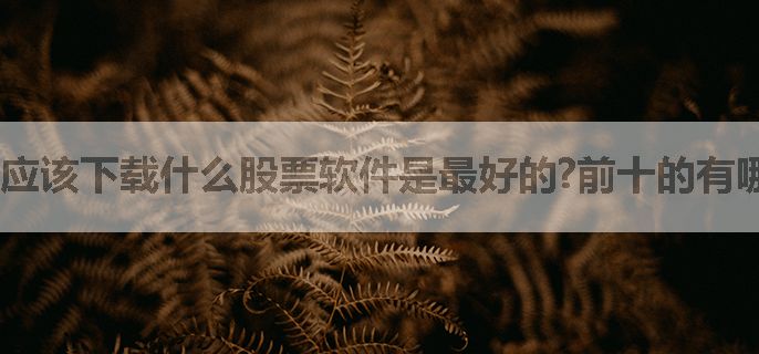 应该下载什么股票软件是最好的?前十的有哪些