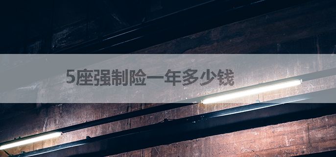 5座强制险一年多少钱