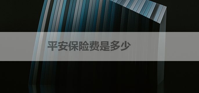 平安保险费是多少