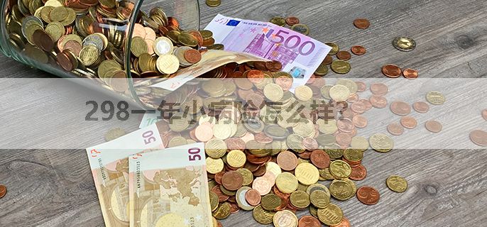 298一年小病险怎么样？