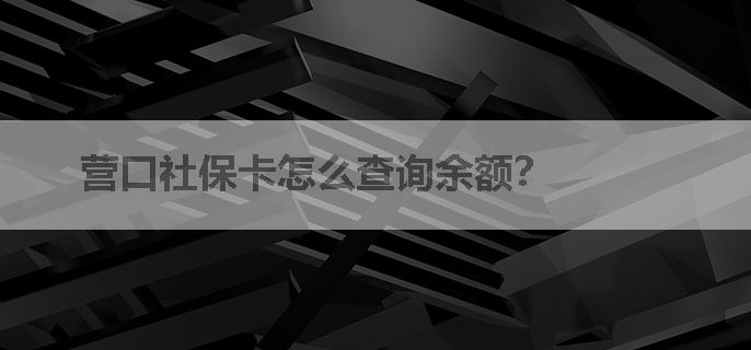 营口社保卡怎么查询余额？
