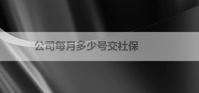 公司每月多少号交社保