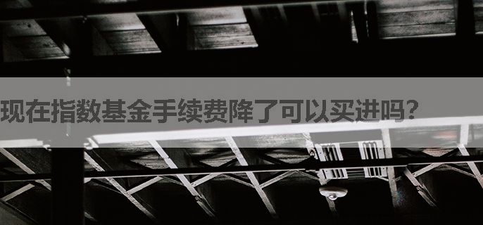 现在指数基金手续费降了可以买进吗？