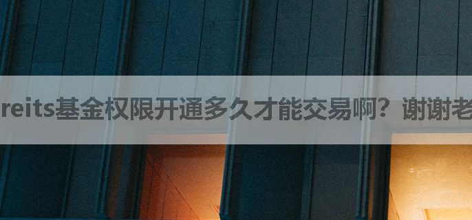 reits基金权限开通多久才能交易啊？谢谢老师