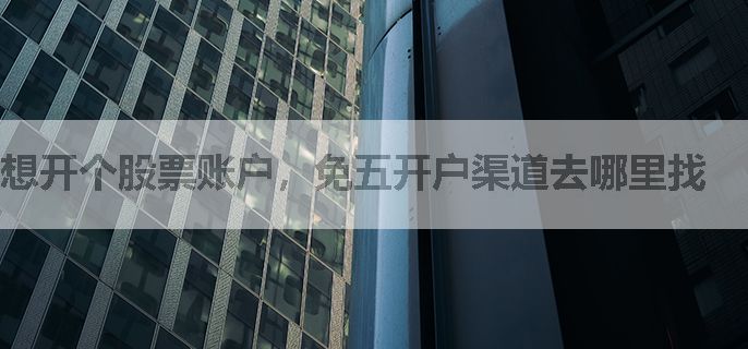 想开个股票账户，免五开户渠道去哪里找