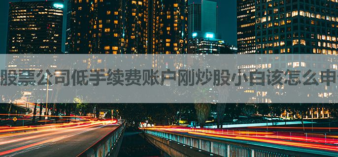 股票公司低手续费账户刚炒股小白该怎么申请