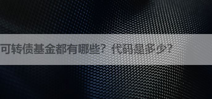 可转债基金都有哪些？代码是多少？