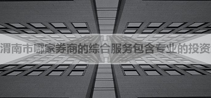 渭南市哪家券商的综合服务包含专业的投资组合优化建议？