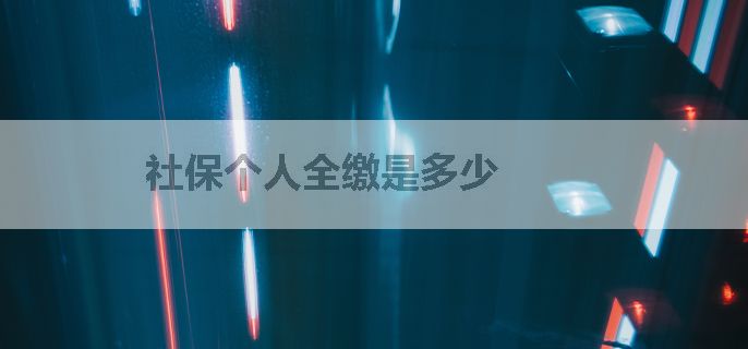 社保个人全缴是多少