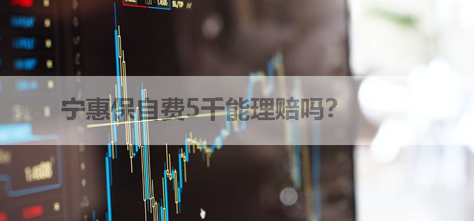 宁惠保自费5千能理赔吗？