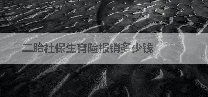 二胎社保生育险报销多少钱