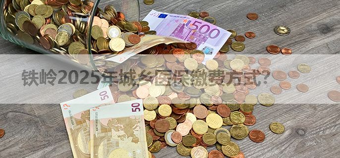 铁岭2025年城乡医保缴费方式？