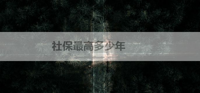 社保最高多少年