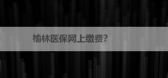 榆林医保网上缴费？