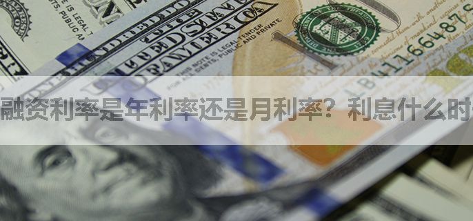 融资利率是年利率还是月利率？利息什么时候收