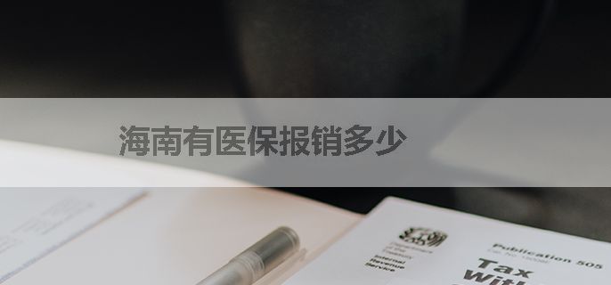 海南有医保报销多少