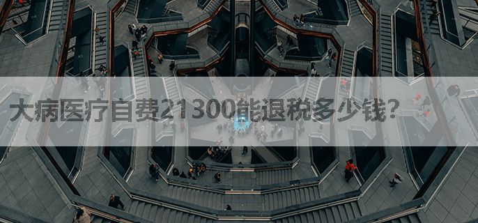 大病医疗自费21300能退税多少钱？