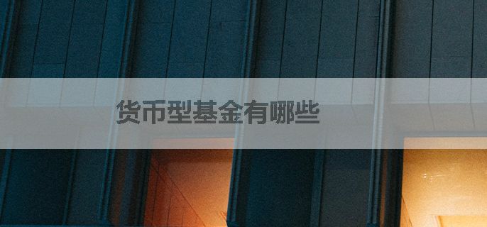 货币型基金有哪些