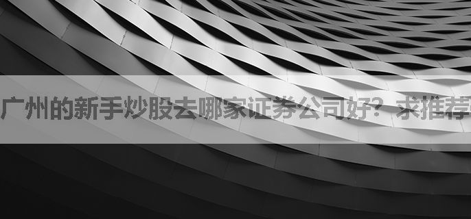 广州的新手炒股去哪家证券公司好？求推荐低佣金的！