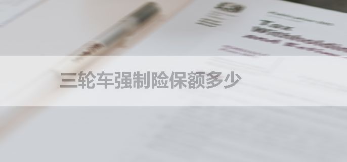 三轮车强制险保额多少