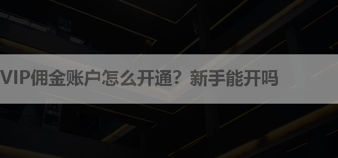 VIP佣金账户怎么开通？新手能开吗