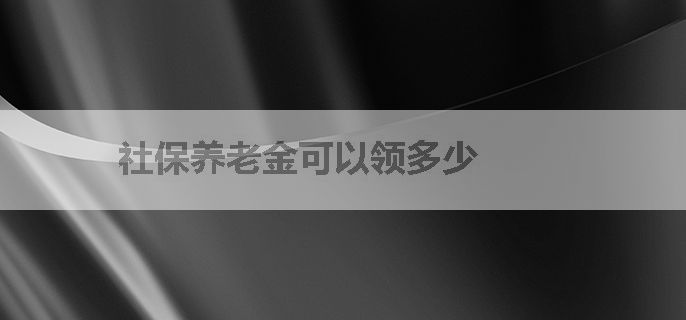 社保养老金可以领多少