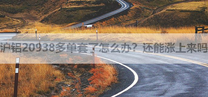 沪铝20938多单套了怎么办？还能涨上来吗？