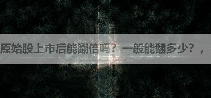 原始股上市后能翻倍吗？一般能翻多少？，请说的详细些，谢谢