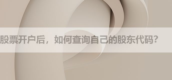 股票开户后，如何查询自己的股东代码？