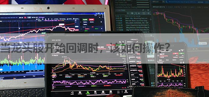 当龙头股开始回调时，该如何操作？