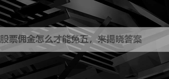 股票佣金怎么才能免五，来揭晓答案