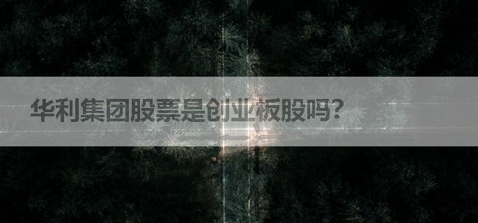 华利集团股票是创业板股吗？
