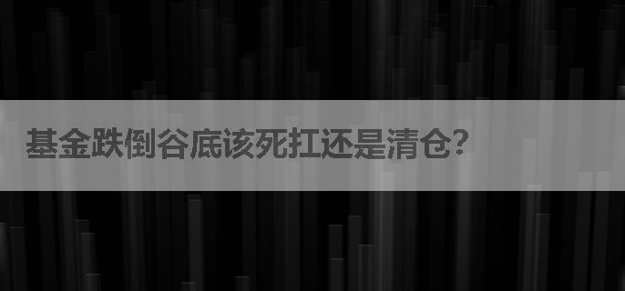 基金跌倒谷底该死扛还是清仓？