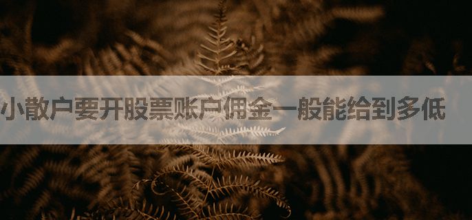小散户要开股票账户佣金一般能给到多低