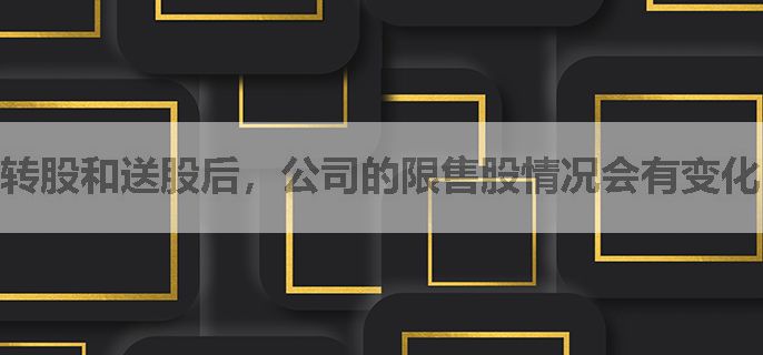 转股和送股后，公司的限售股情况会有变化吗？
